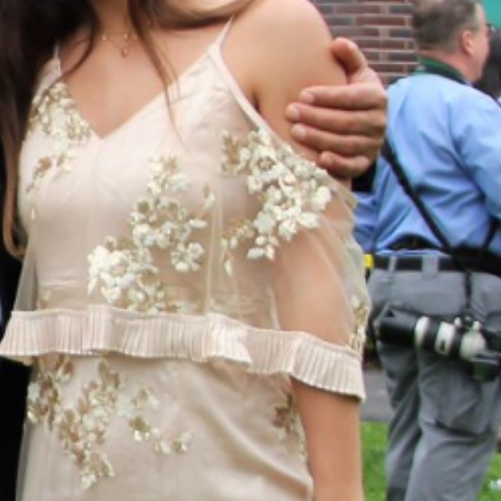 Champagne colored dress - Picture 3 of 4